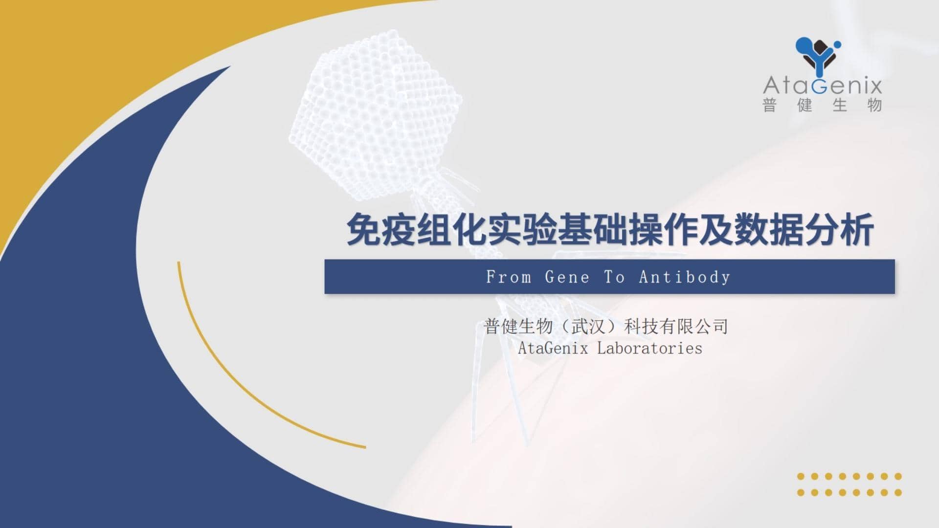 【基礎實驗一篇搞定】免疫組化——IHC實驗基礎操作