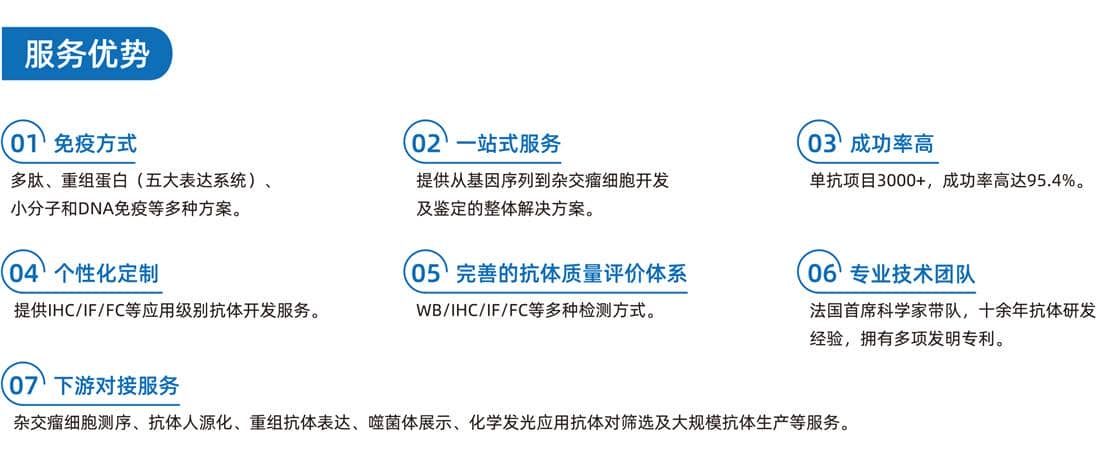 雜交瘤細胞開發-鼠單克隆抗體僅需59天