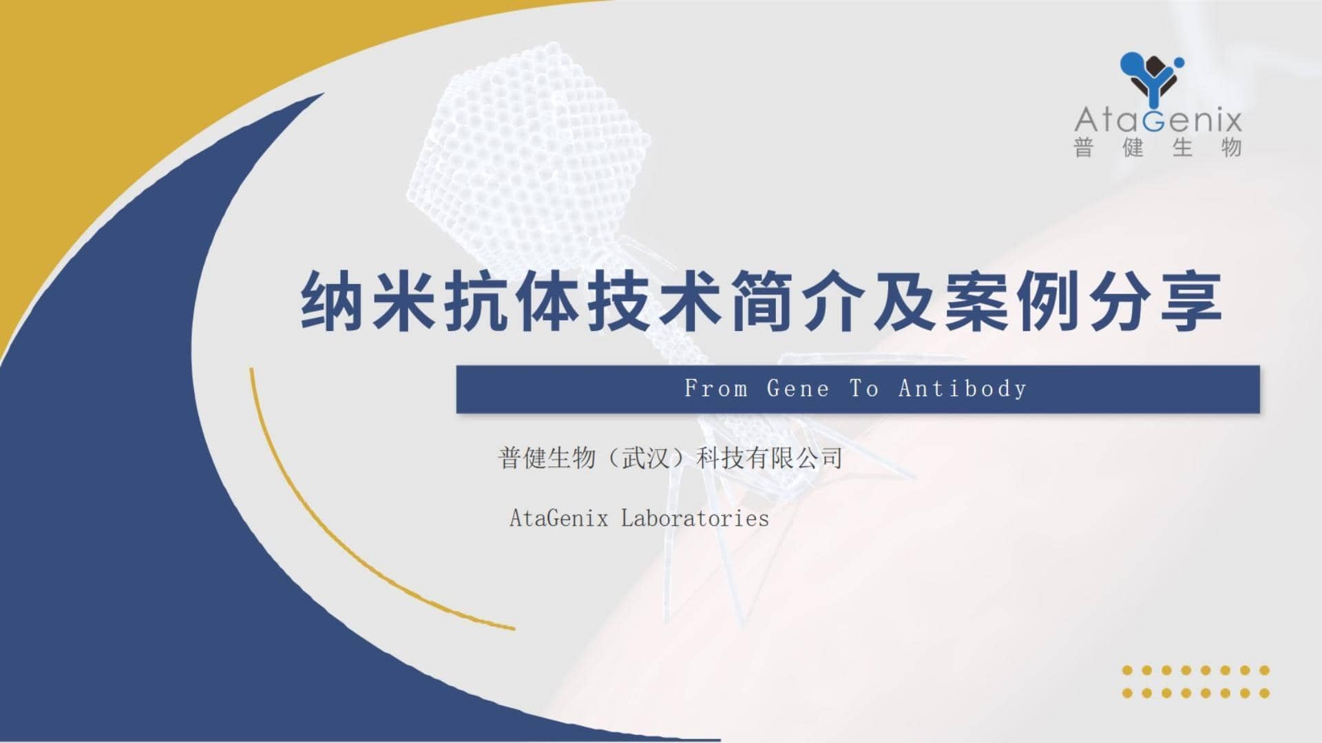 納米抗體制備——納米抗體制備技術及相關案例分享