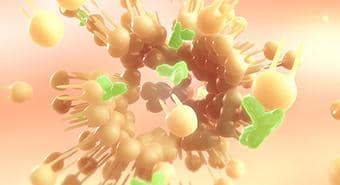 蛋白的提取和純化是同一個(gè)過程嗎?