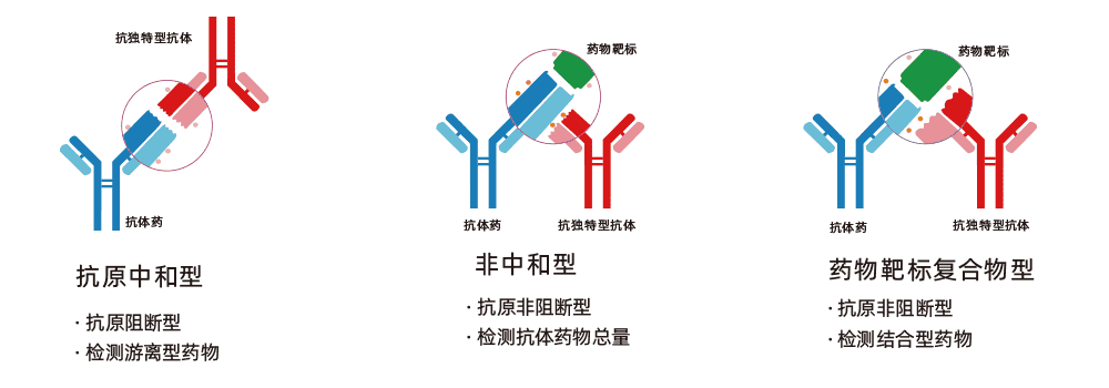 抗獨特型抗體制備