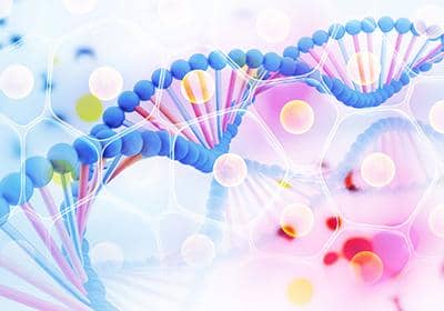 如何選擇優(yōu)質(zhì)的雜交瘤測(cè)序公司