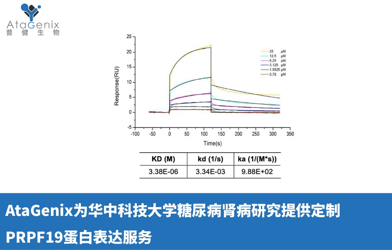 AtaGenix為華中科技大學糖尿病腎病研究提供定制PRPF19蛋白表達服務